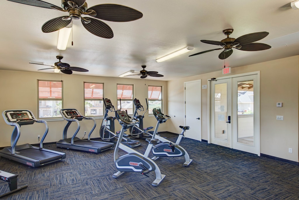 Gym Equipment