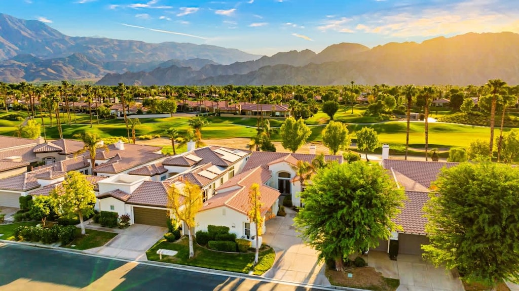 Our Amazing Neighbourhood!