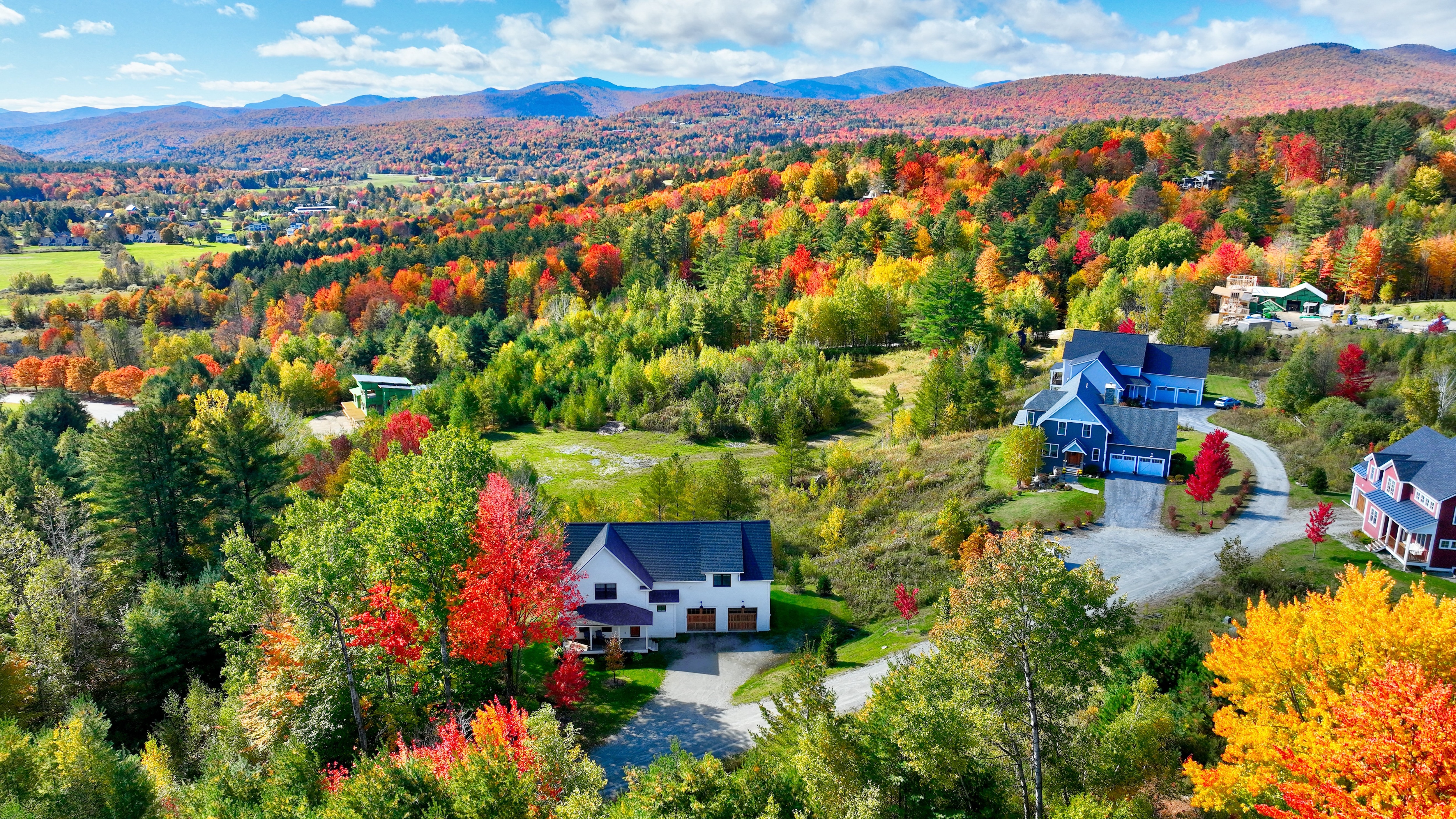 Other: Other Other: Other