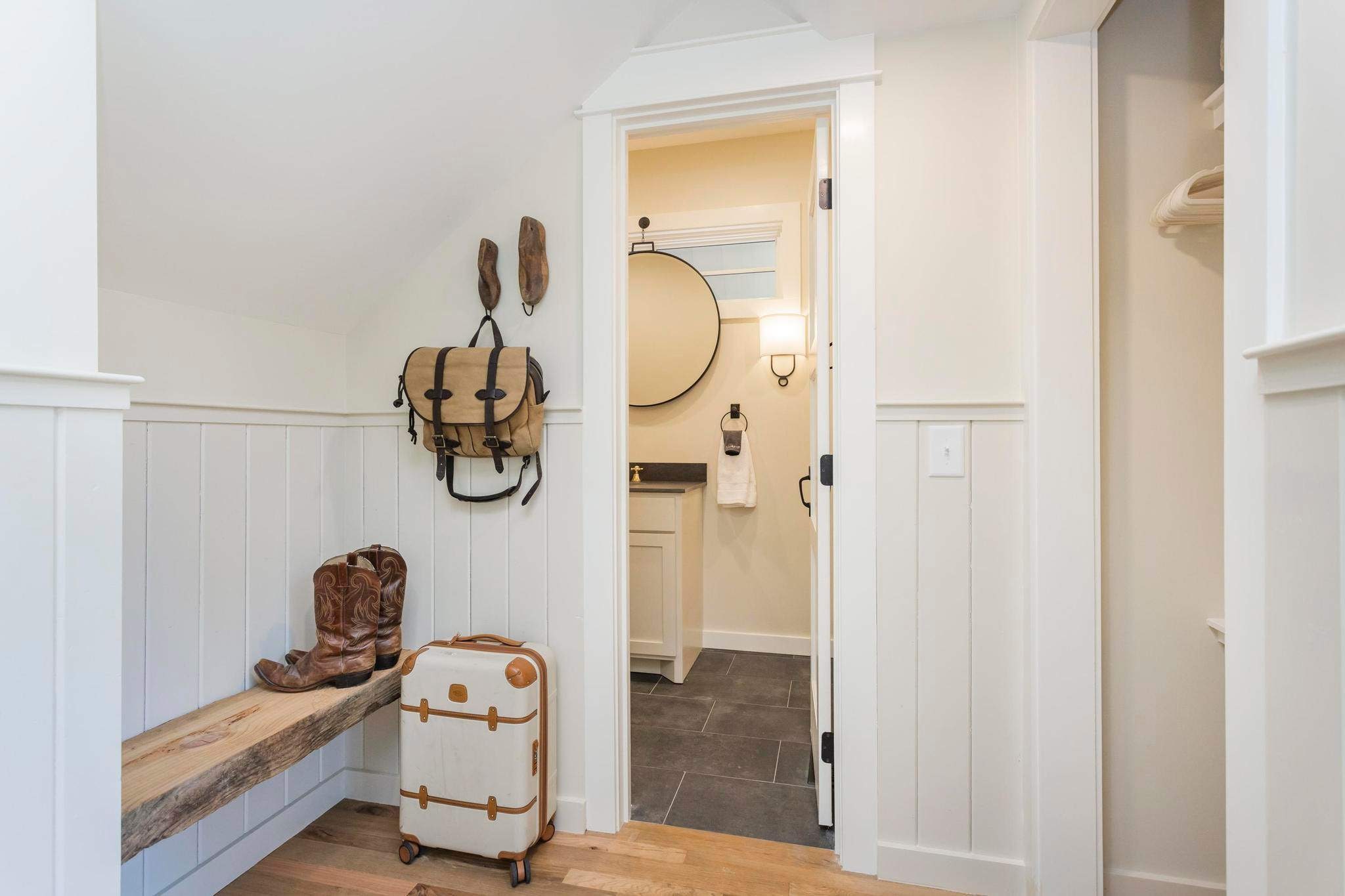 Purple Martin: Secluded Forest Birdwatcher Purple Martin: Secluded Forest Birdwatcher