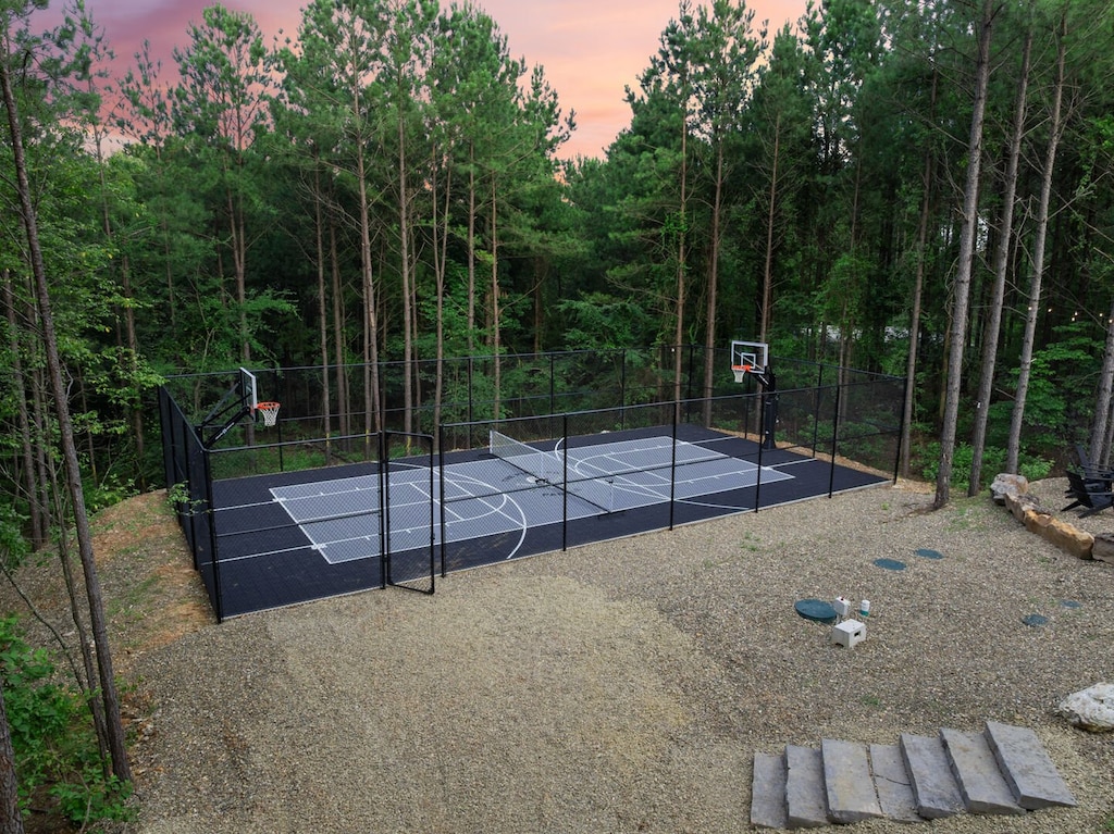 Pickleball & basketball court