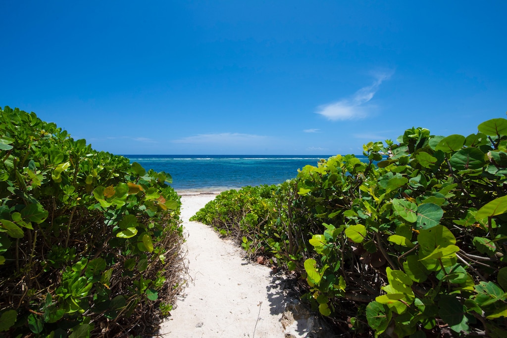 Foot path to the beach. We advise guest to wear pool shoes or snorkel fins when entering the water.