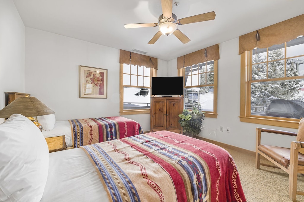 Twin Bedroom w/ TV (King Conversion for a Fee)