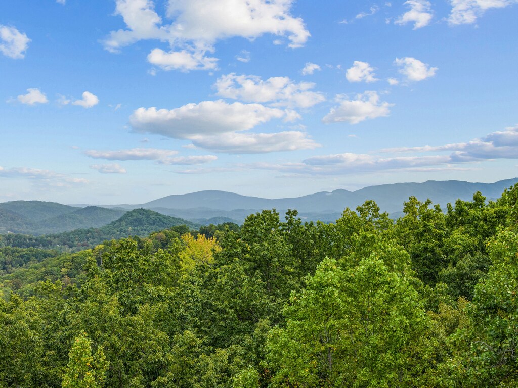 otter-be-swimming-63