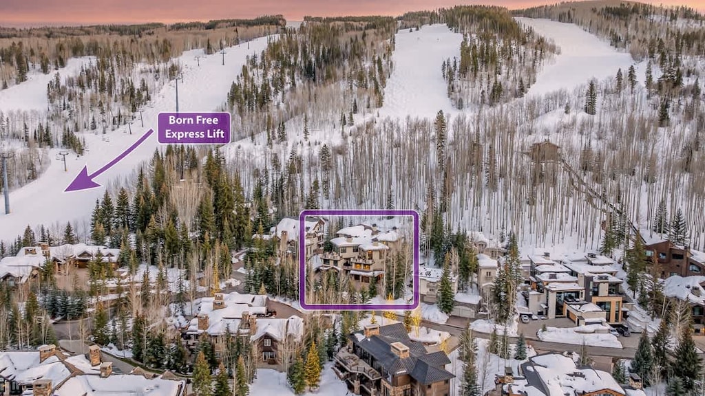 Ski-in access meets alpine luxury—just steps from the Born Free Express Lift in Vail Village!