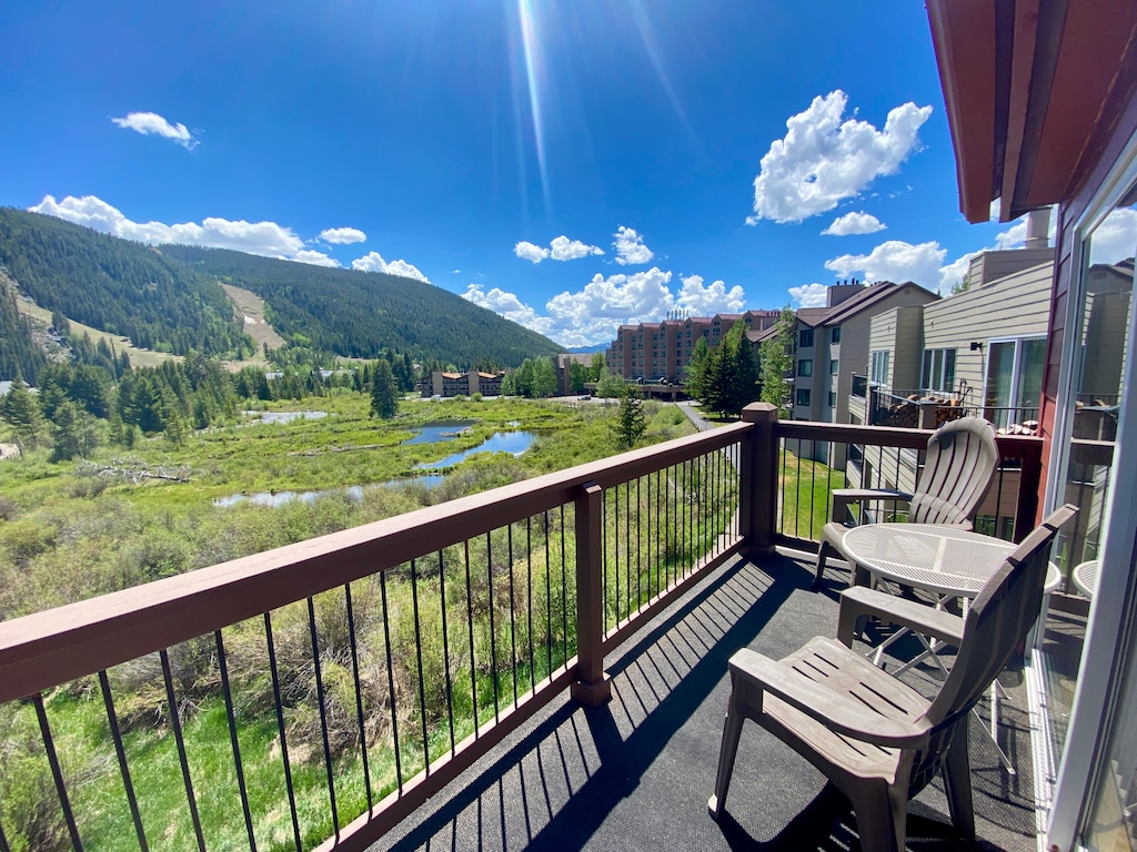 Unobstructed views of the wetlands and ski hill! #summer