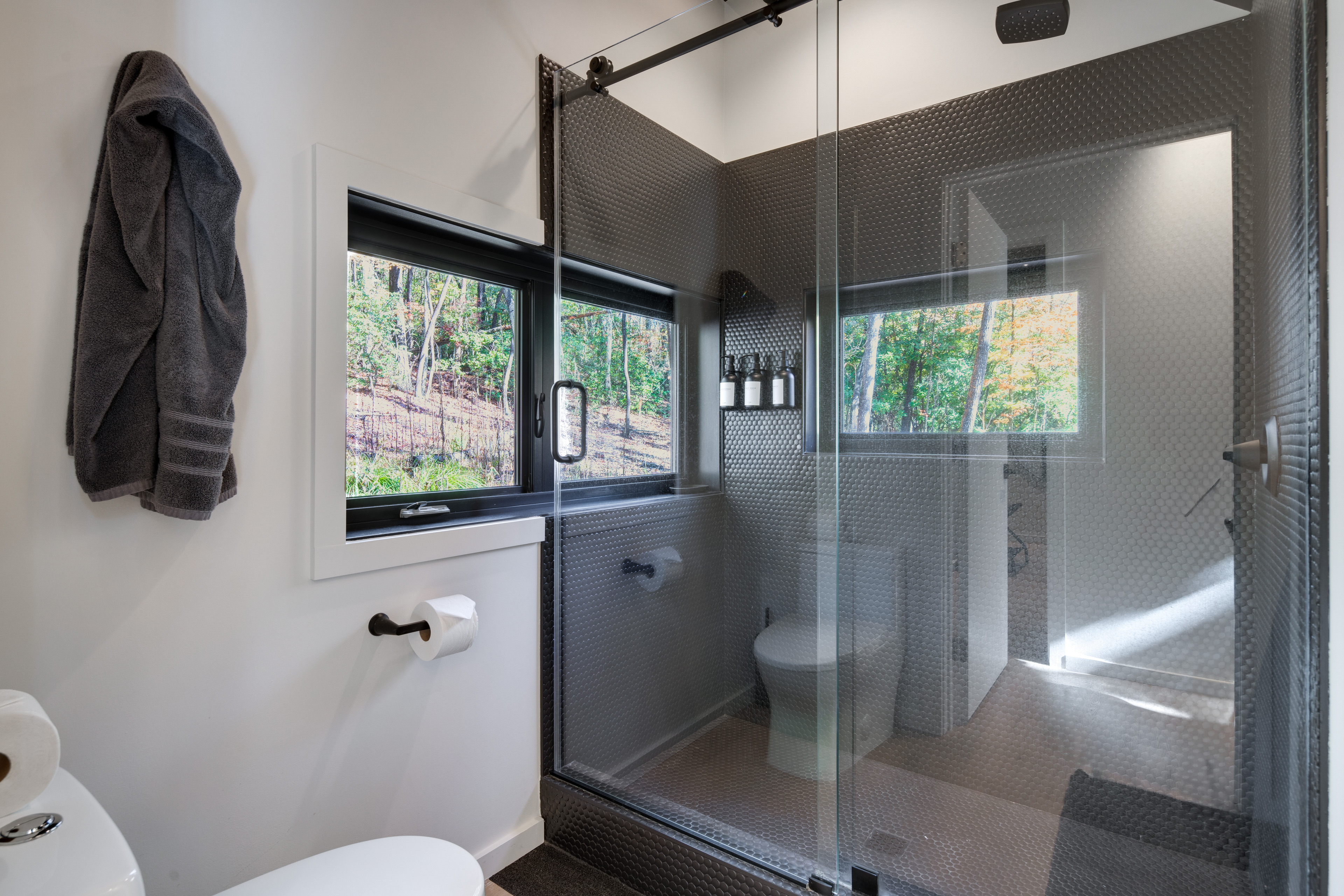 Ultimate Relaxation & Adventure: Home Near Brevard