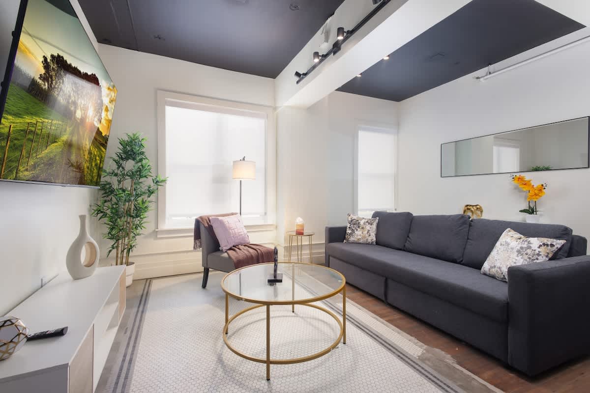 Open living room featuring a comfy sofa bed and TV.