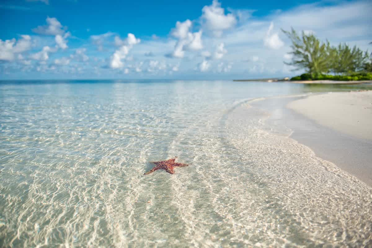 Island House #12 - Beach