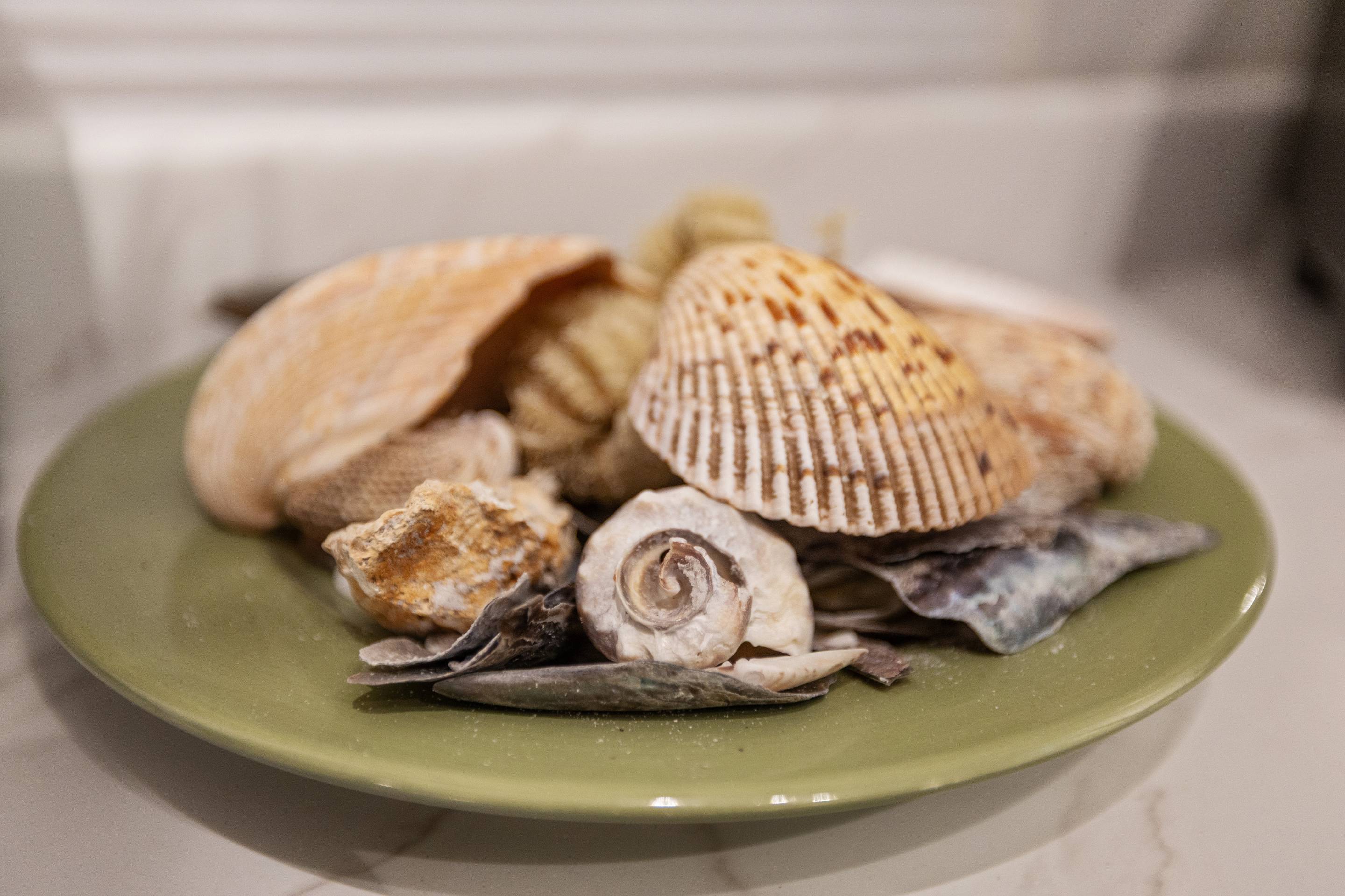 Waterfront Extended Stay Gulf Condo