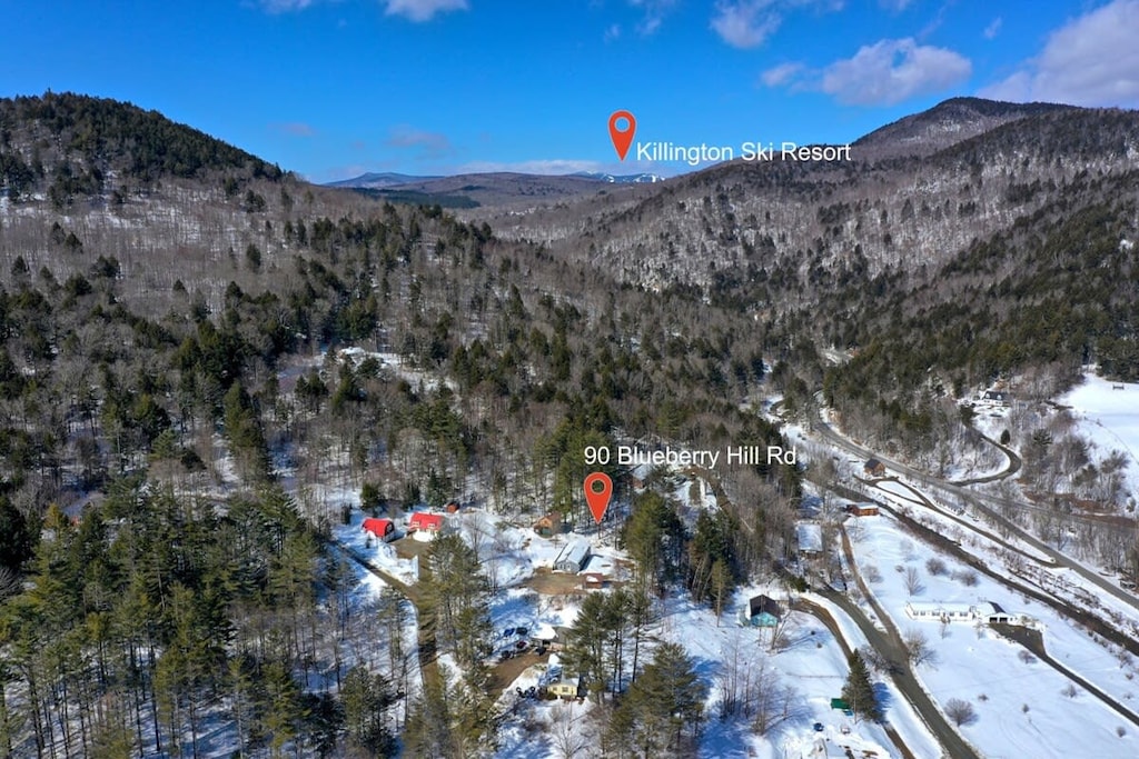 Just 10 min to Killington's Skyeship Lodge!