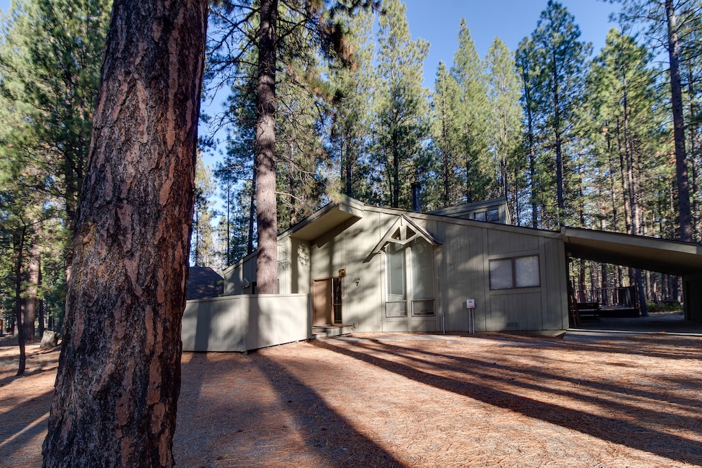 Exterior Retreat: Immerse yourself in nature with this stunning forest-view getaway!