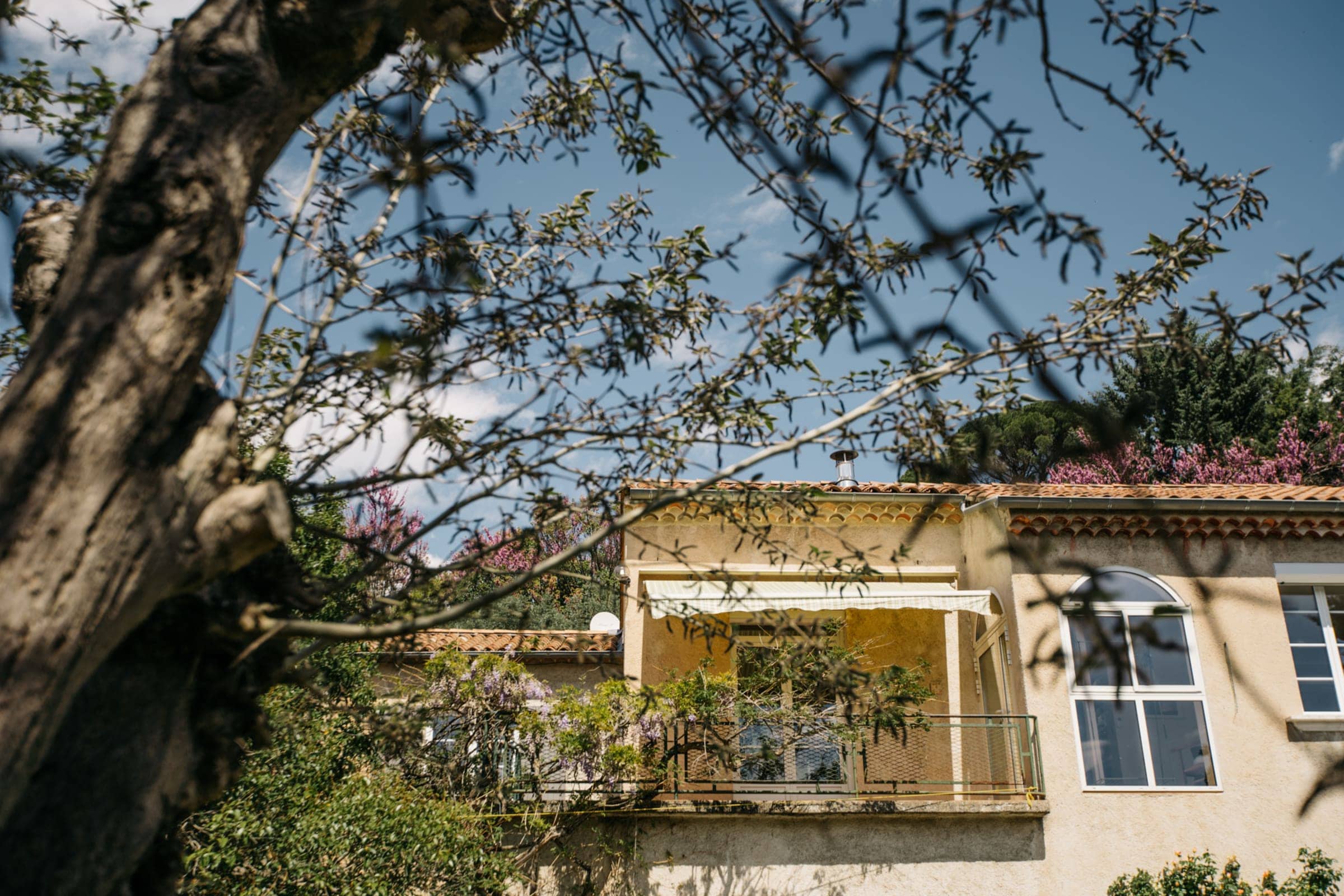 Villa Balleti - private pool with a view