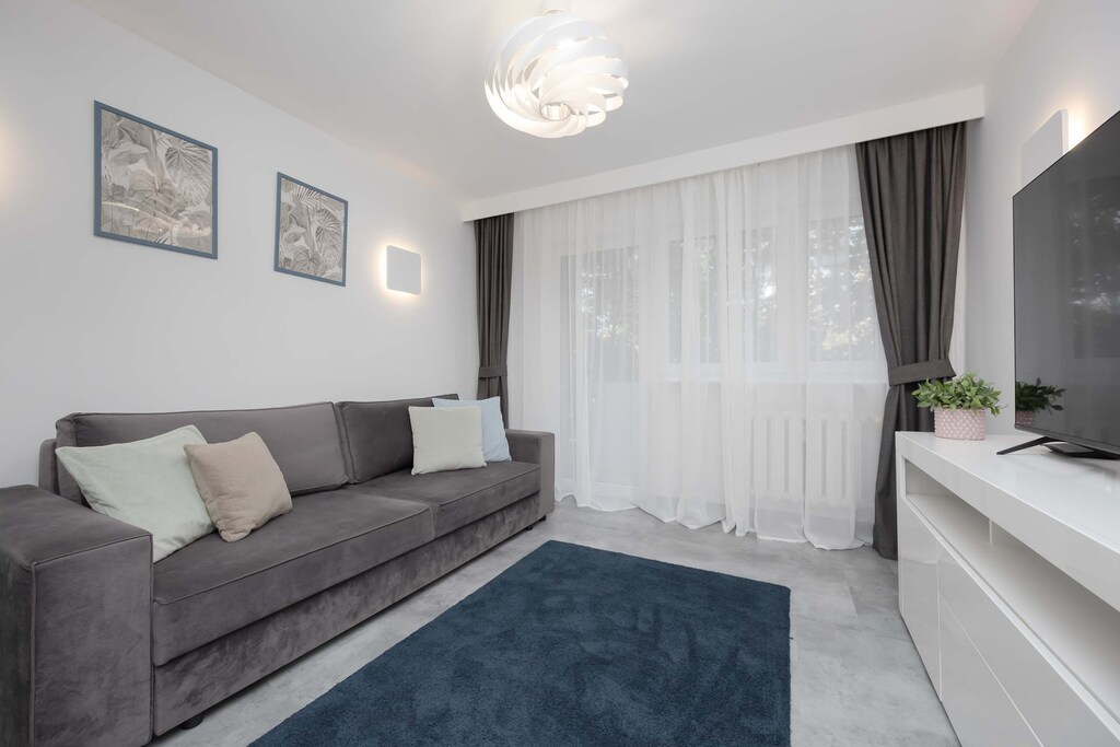 Living room with a comfortable sofa and TV.