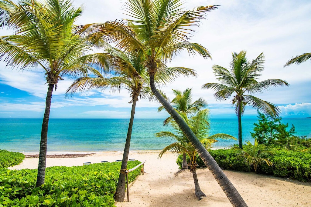 Pathway to the beach.