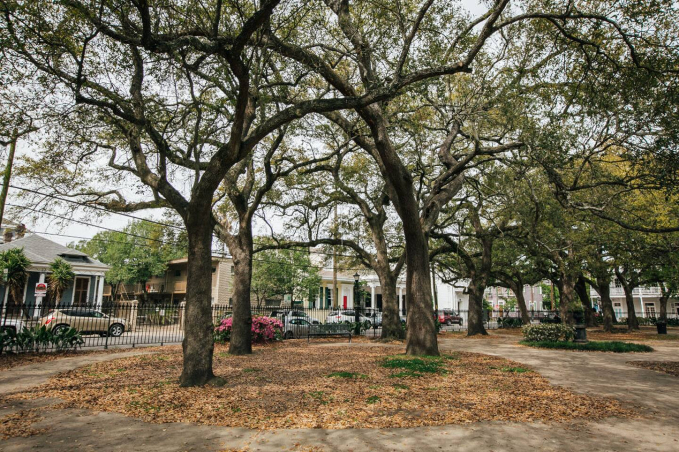 Luxury on Frenchmen St. and the French Quarter! #3