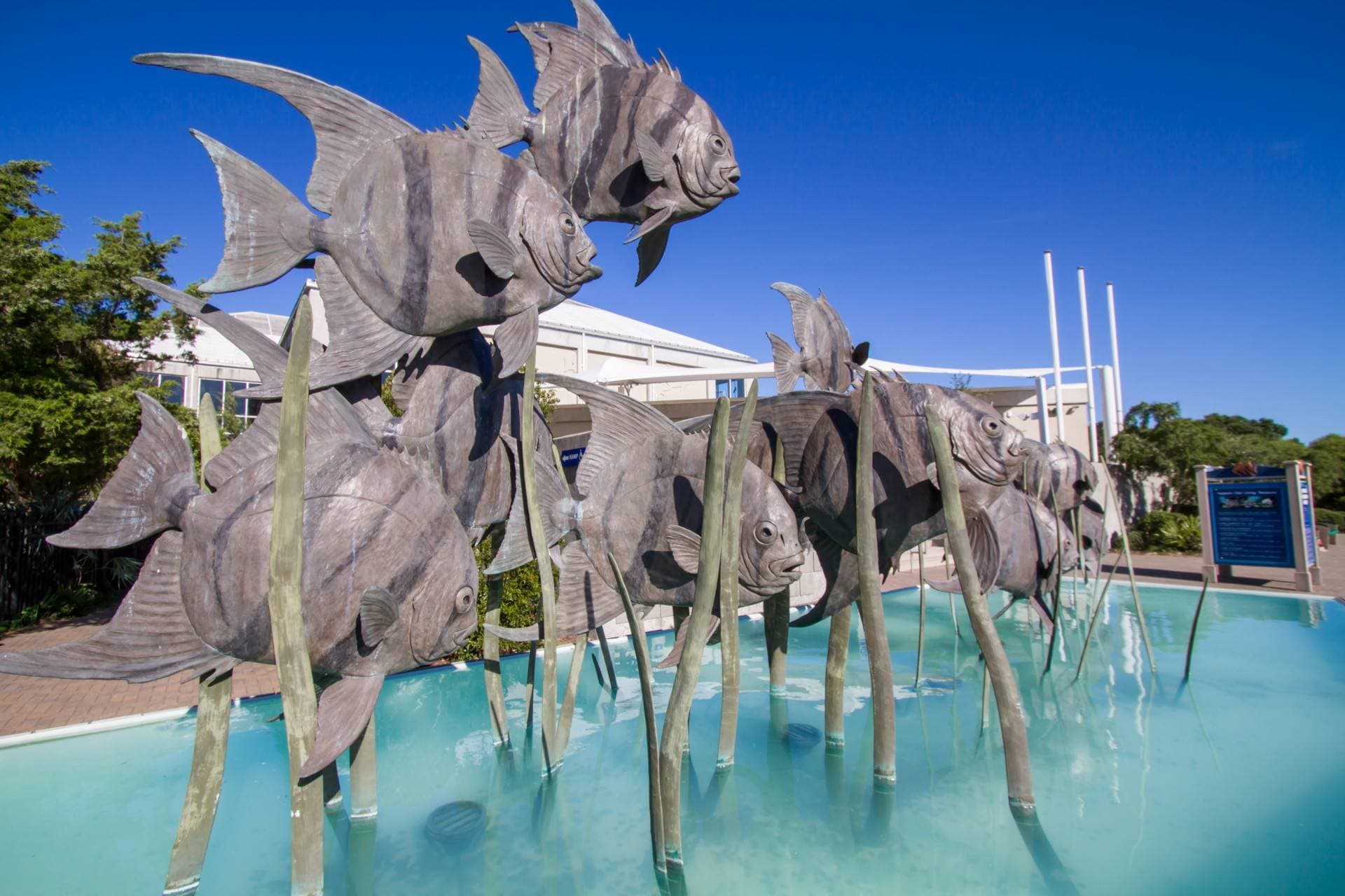 Beach Nest Beach Nest