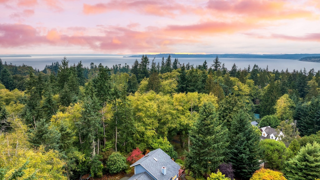 Scenic aerial view of the home among lush greenery.