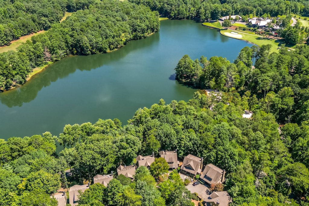 Thrush Turn Manor - Big Canoe Lakes Aerial View