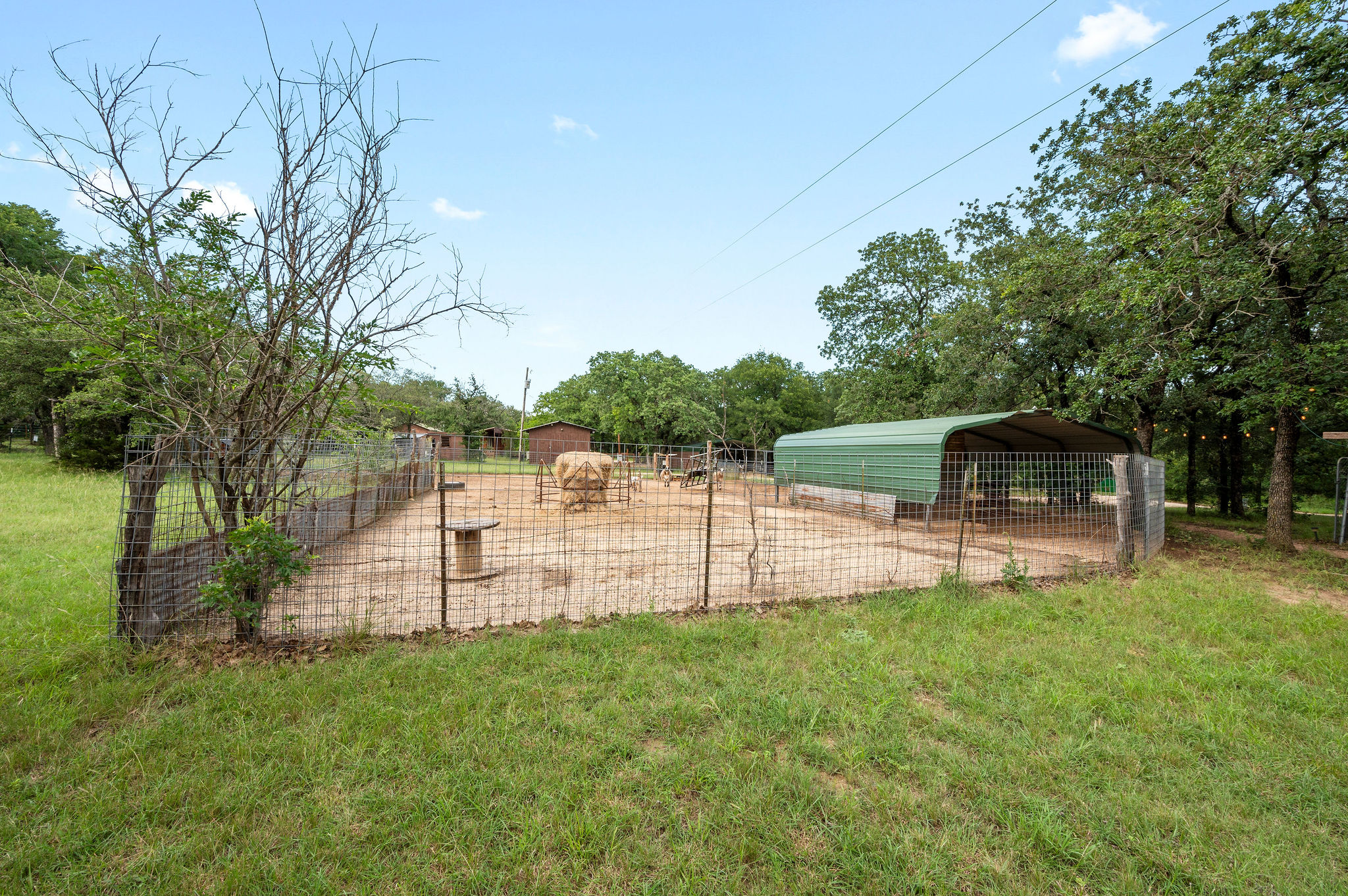 Tiny Town Ranch Animals - help feed our sheep, mini goats, mini donkey