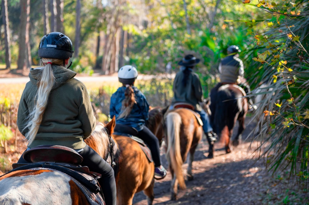 Lawton Stables (Trail rides and petting zoo!)