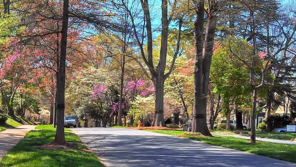 The neighborhood's natural beauty creates a calming atmosphere from the moment you leave your front door.