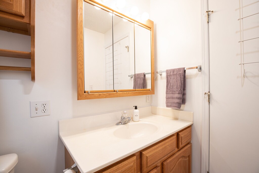 The bathroom has plenty of storage and counter space with a vanity mirror/cabinet.