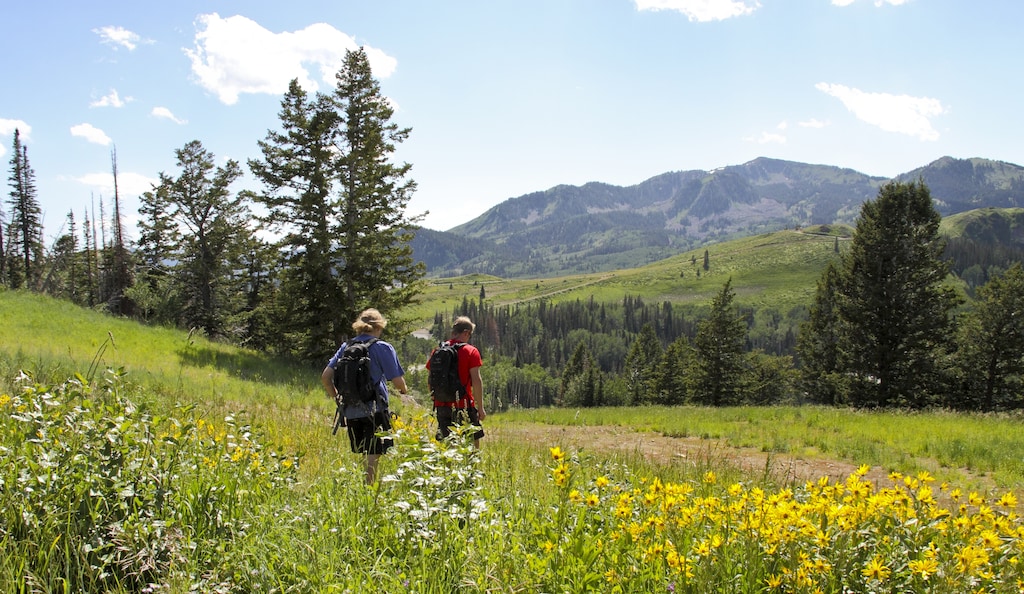 Hikers exploring the Park City mountains.