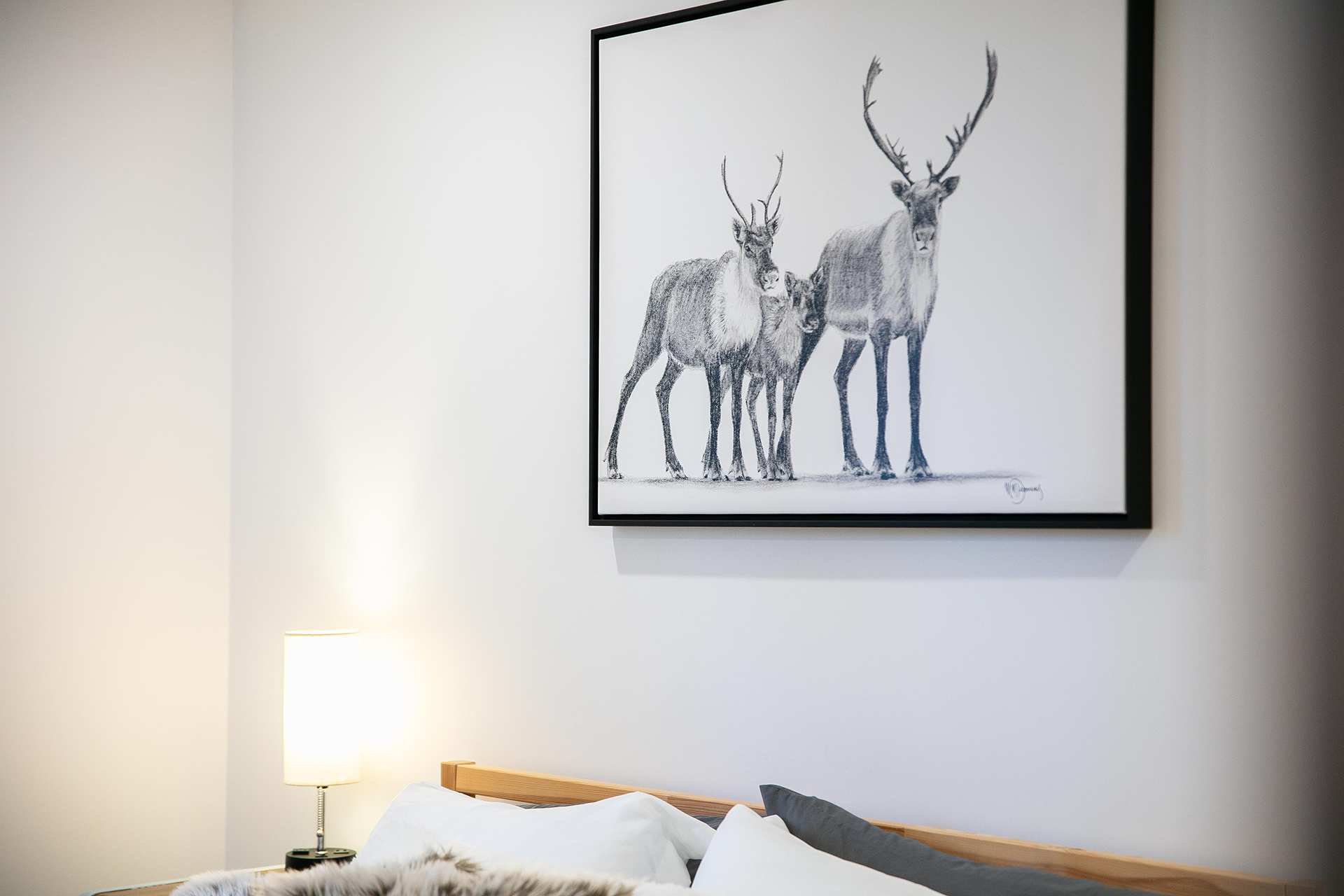 Mont Owl's Head - Carlton