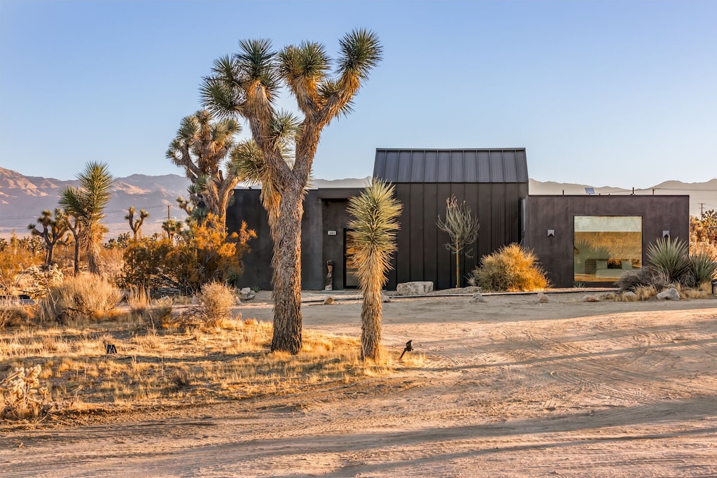 Welcome to Joshua Tree.