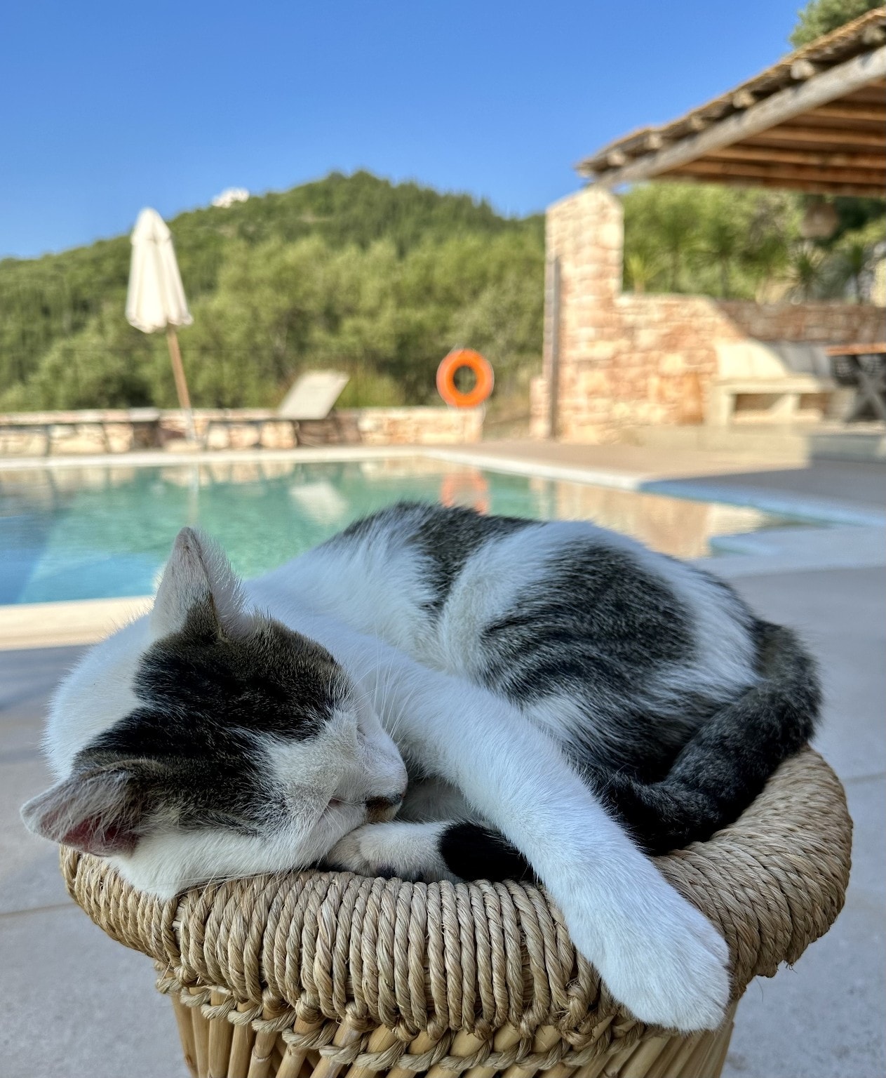 Villa Garden Cove Villa Garden Cove