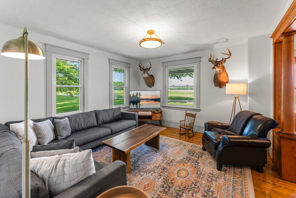 Perfect for movie nights