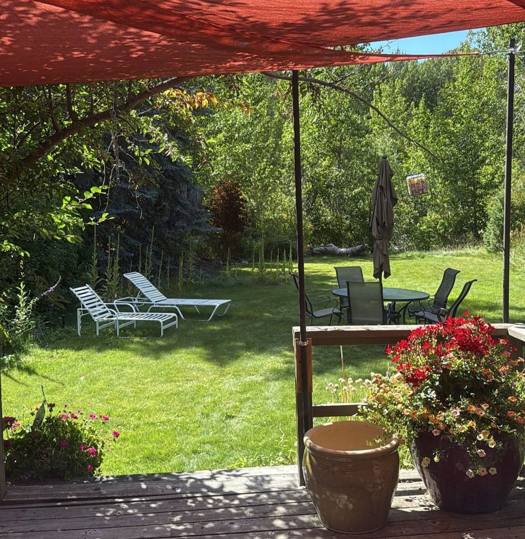 A beautiful backyard with a path through the trees to the Bigwood River