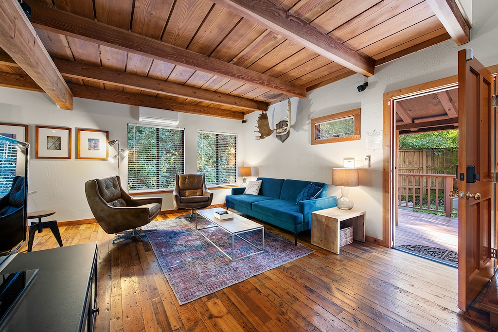 You'll love chillin' with your friends under the new mini-split A/C (and heater) in the living room.