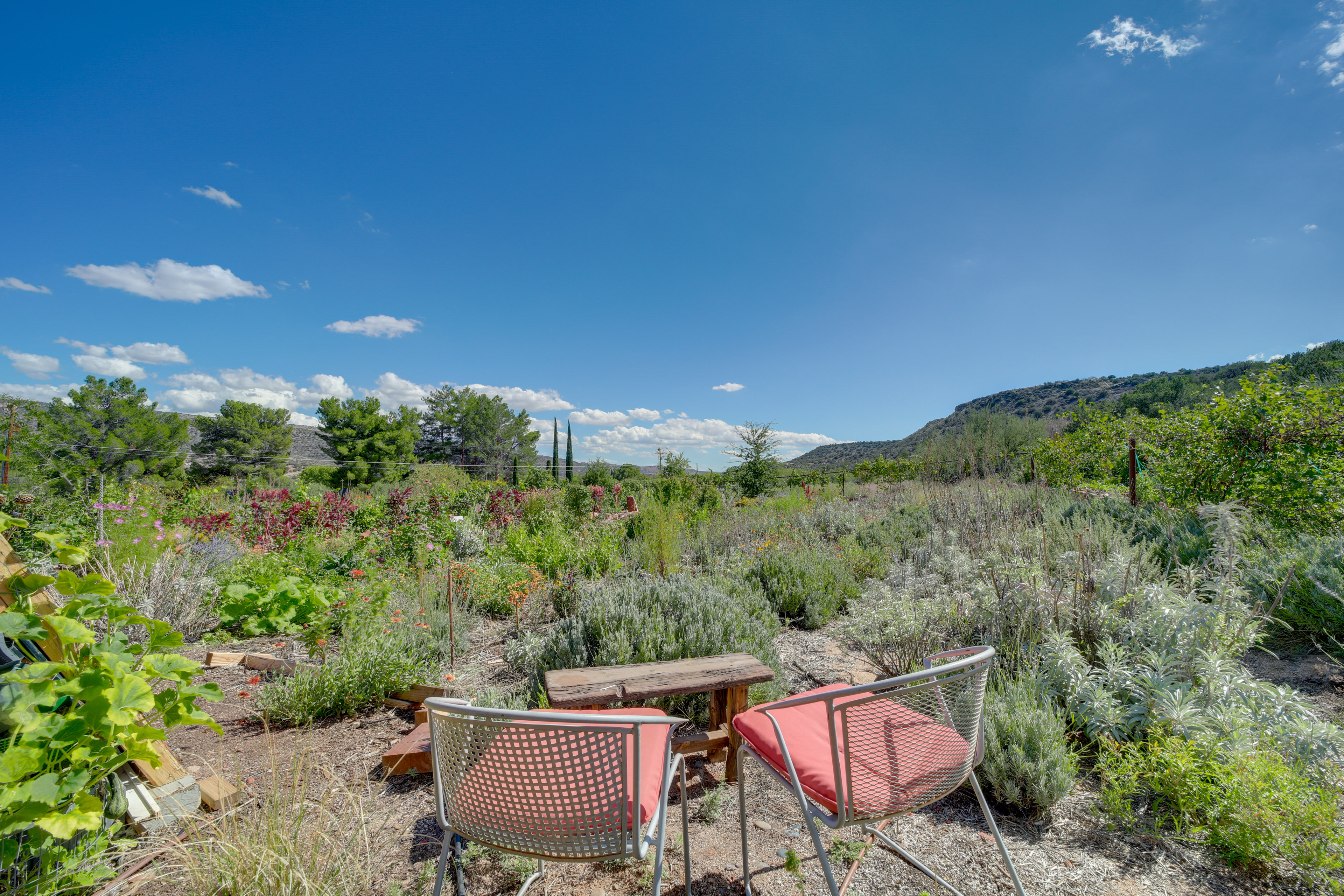 Group Retreat on Flower Farm Near Sedona Trails
