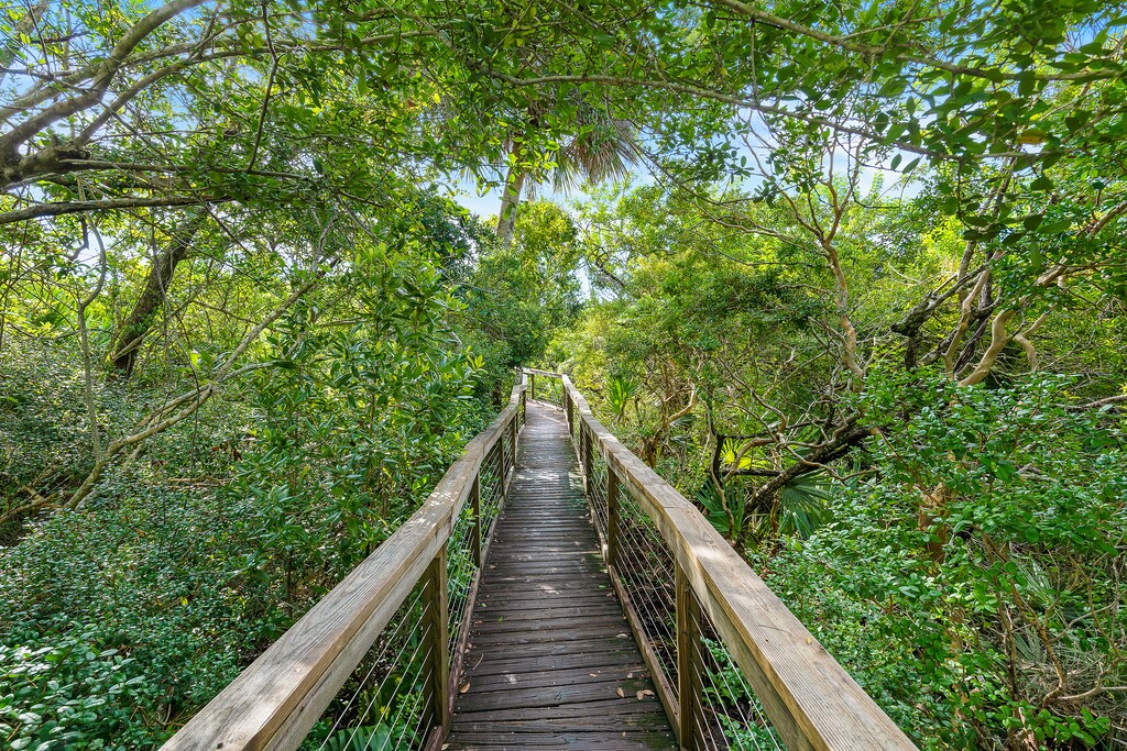 Nature Walk