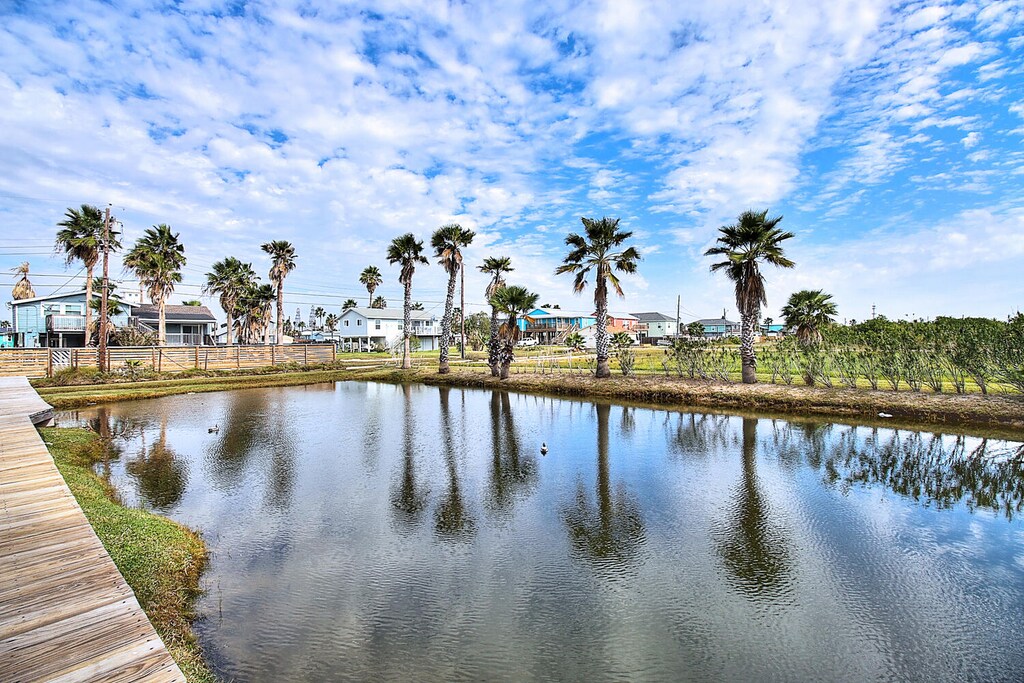 A scenic pond surrounded by swaying palm trees creates a tranquil neighborhood setting with coastal homes dotting the landscape.
