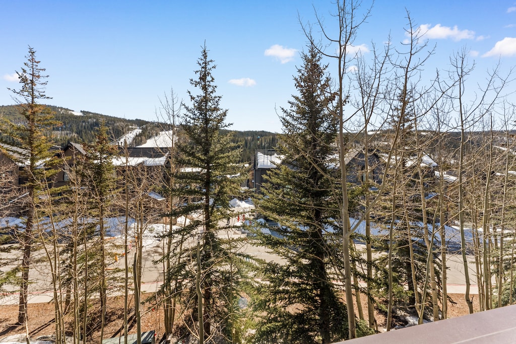 Mountain village setting with ski slopes and forested hills creating a picturesque alpine backdrop for the property.