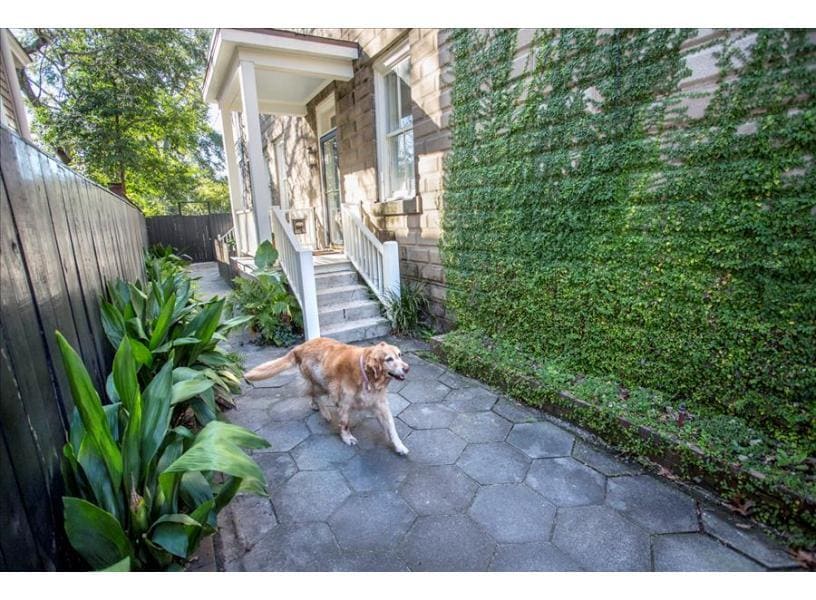 This property is pet-friendly! Bring along your sweet pups.