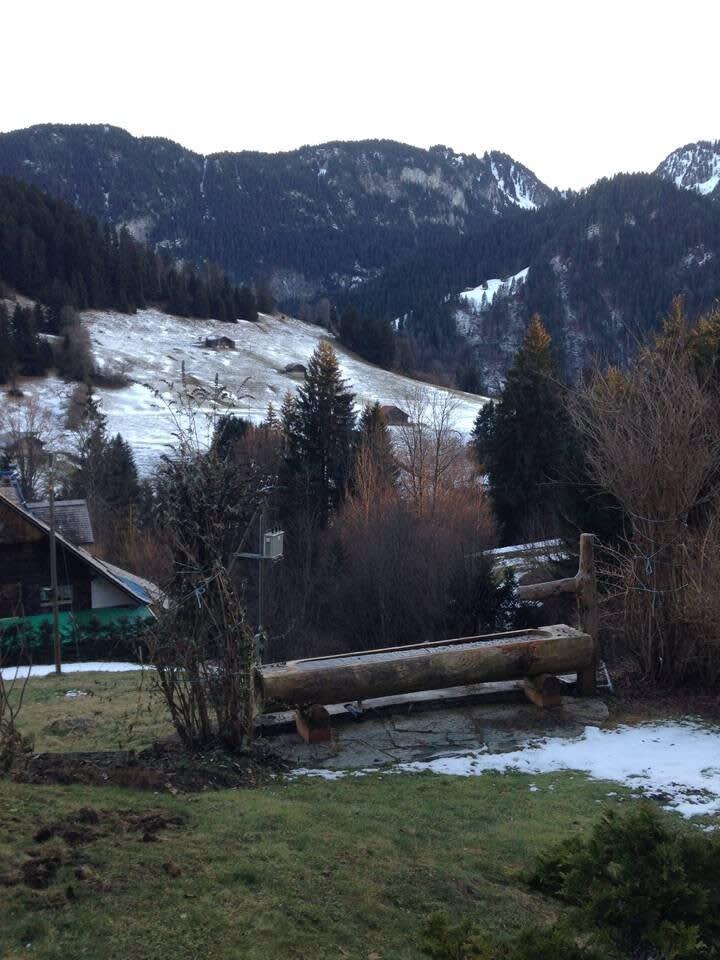 Chalet in the Forest near Gstaad Super Ski Region