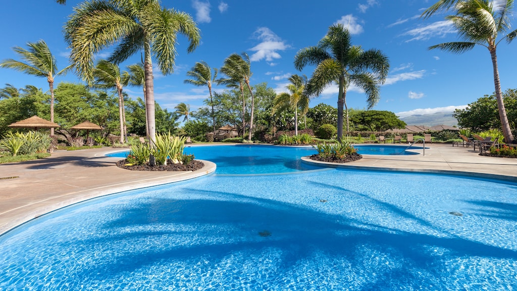 Freeform Ohana Pool with kids wading area