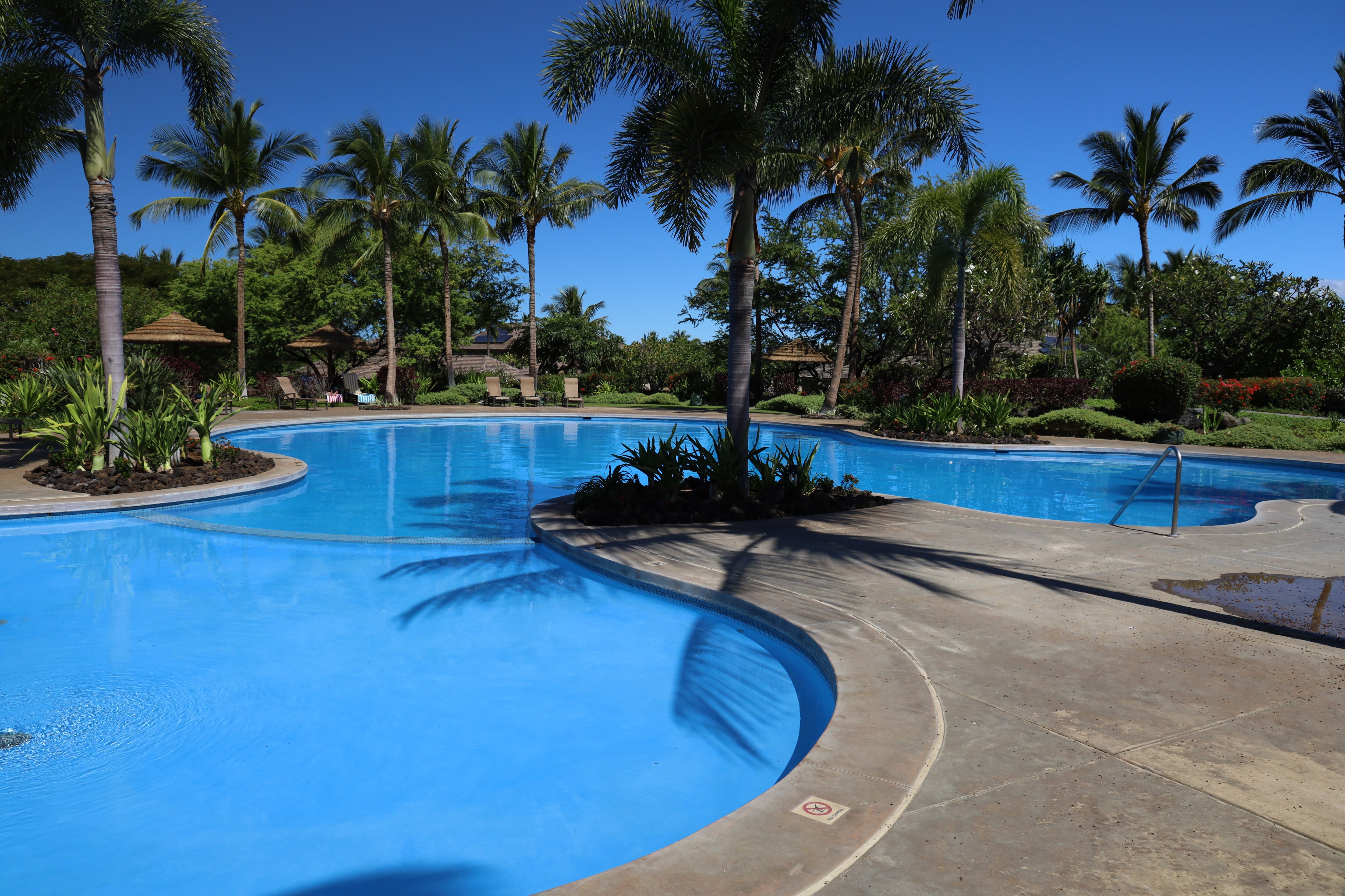 Freeform ohana pool with children's wading pool