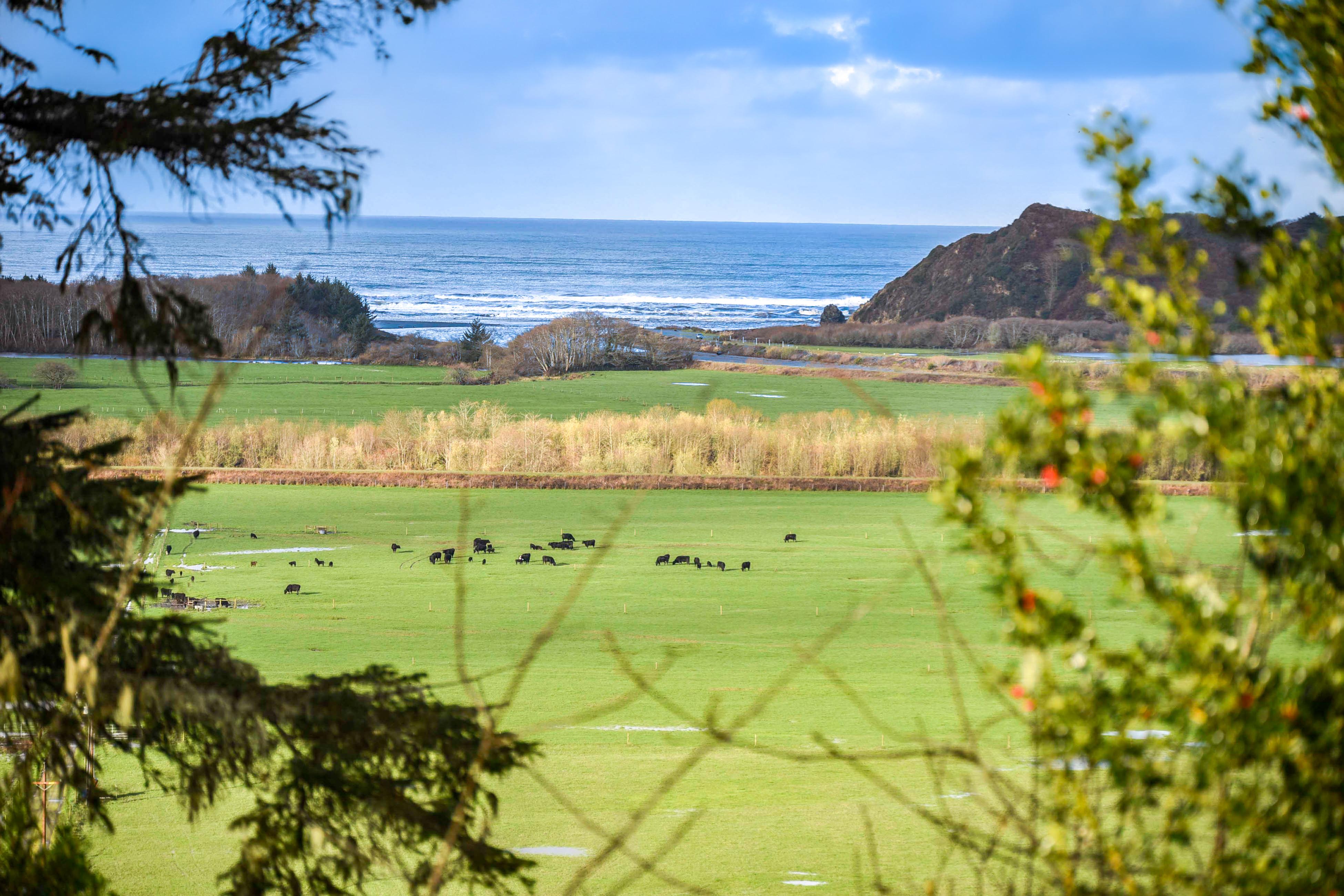 Viewcrest Retro Country Home