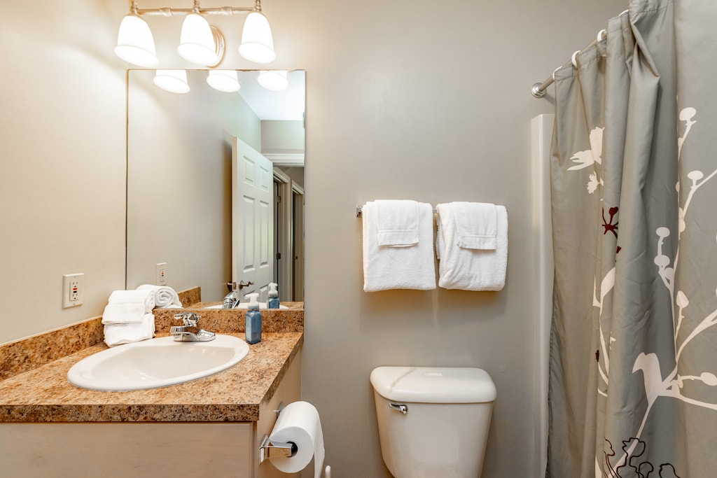 Shared Bath on Lower Level