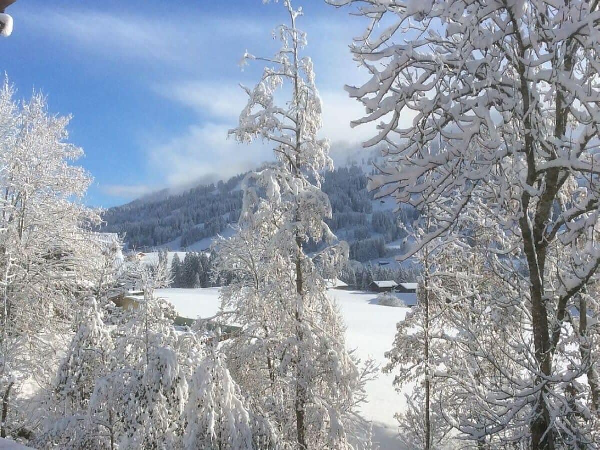 Property Image 2 - Overlooking Flat with Beautiful Open Views of Gstaad