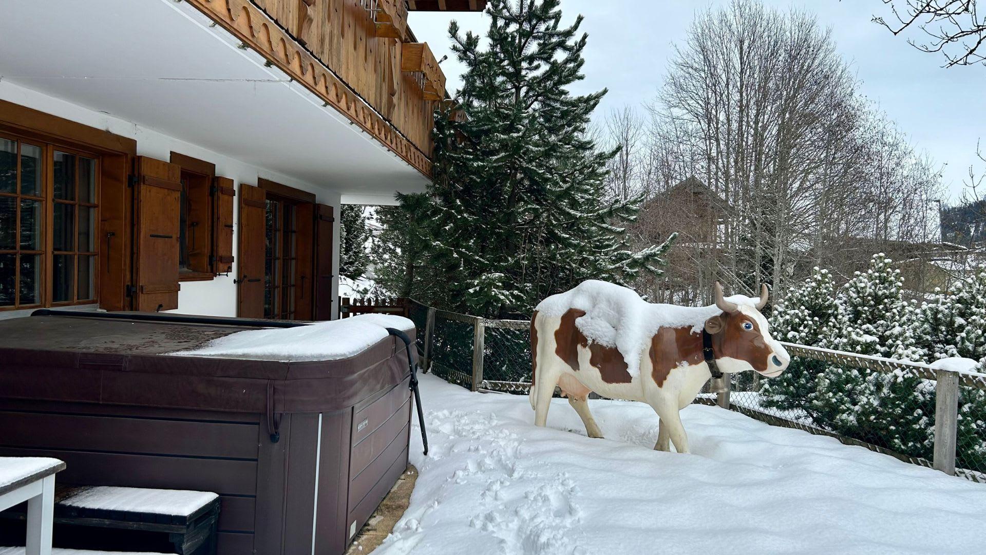 Property Image 2 - Heart of the Alps Flat in Sunniest Area of the Valley