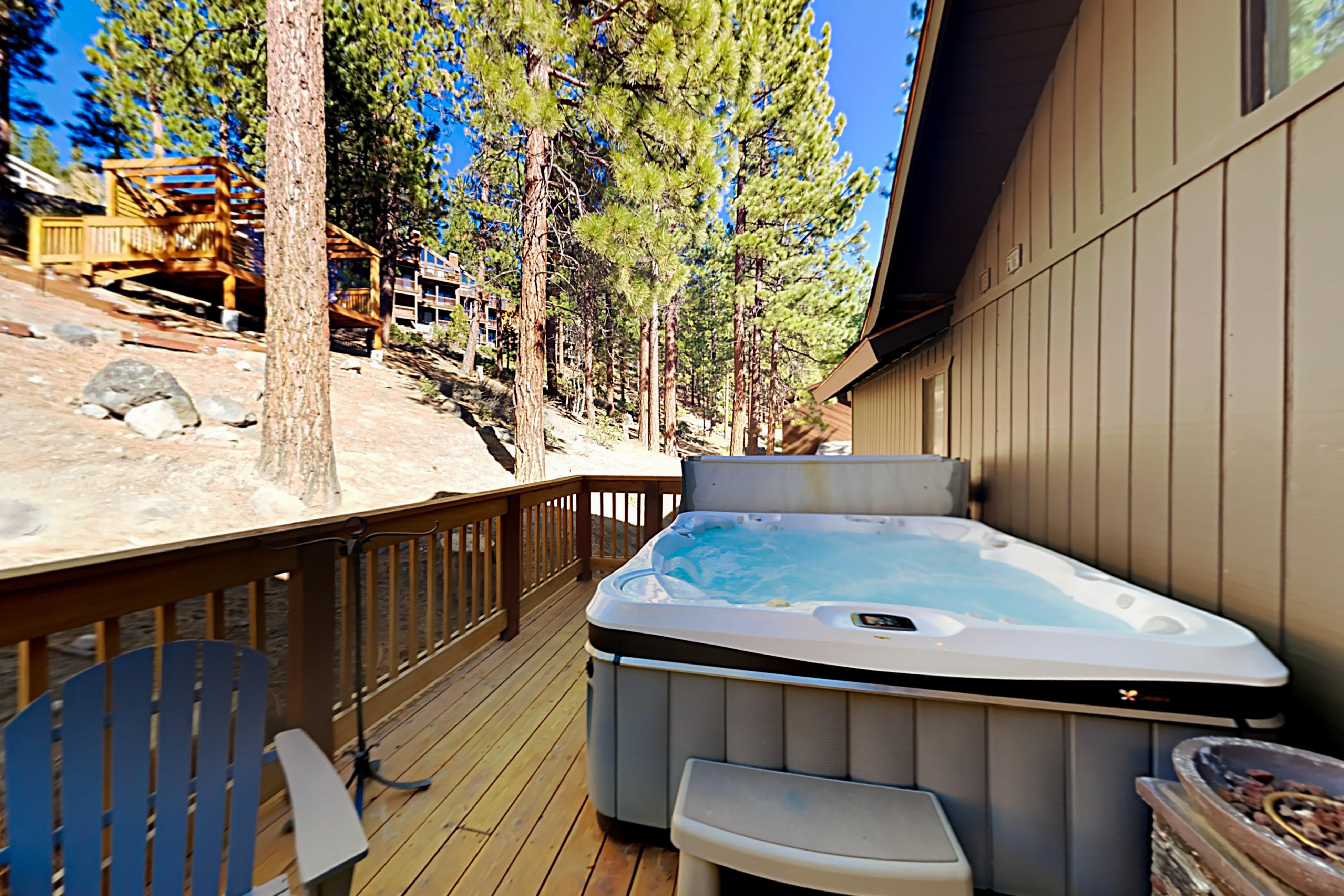 Property Image 2 - Tahoe Dreams Oasis