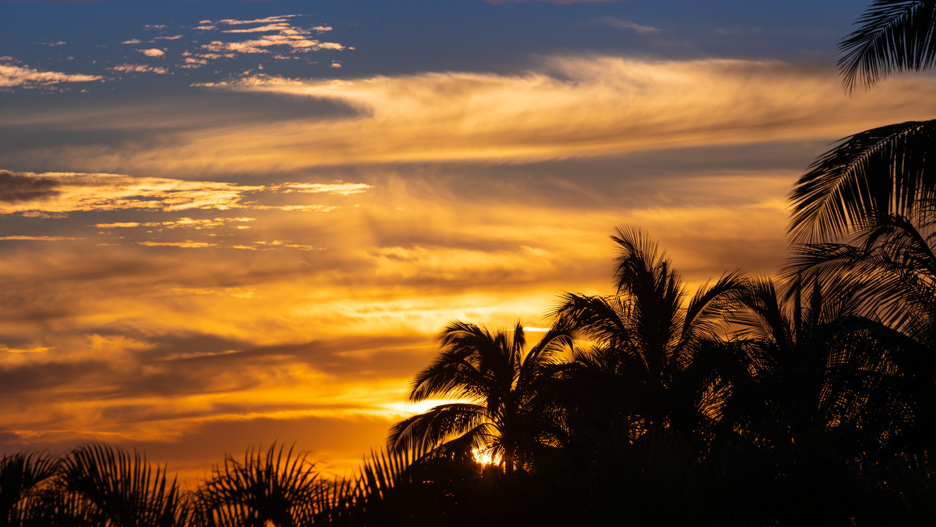 Amazing Hawaiian Sunsets!