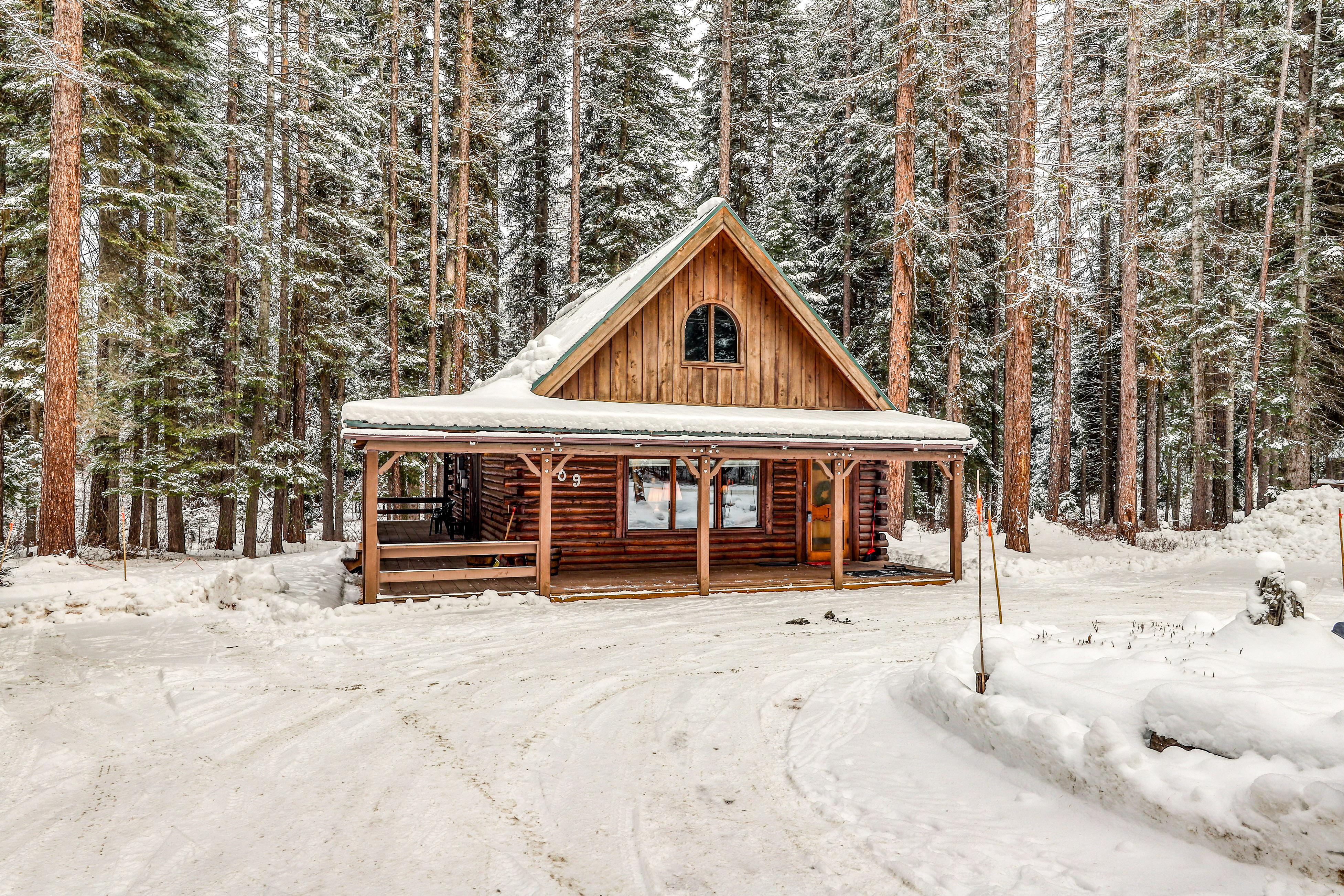 Property Image 1 - Forest Cabin