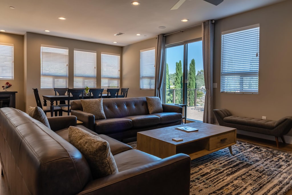 Naturally Lit Living Room with Cozy Couches